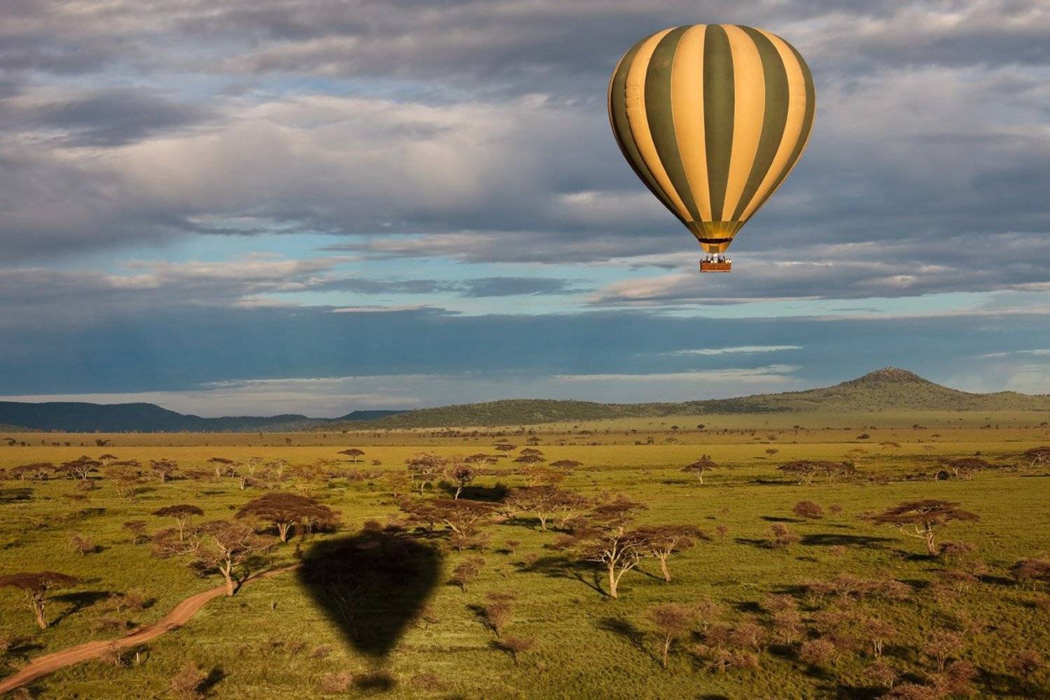 africa, serengeti, serengeti national park, tanzania, animal, balloon, landscape, safari, savanna, африка, серенгети, танзания, воздушный шар, пейзаж, саванна, сафари, Роман Мурушкин