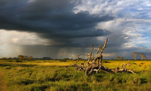 Африканские контрасты