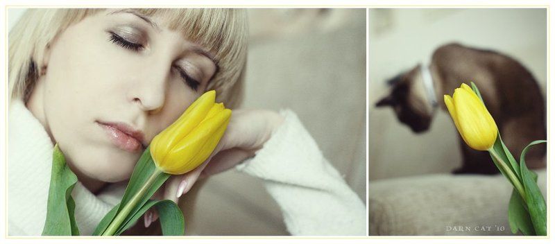 Мои апрельские сны фото превью