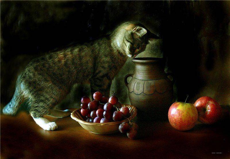 кошка, егорушка, Лариса Запатрина