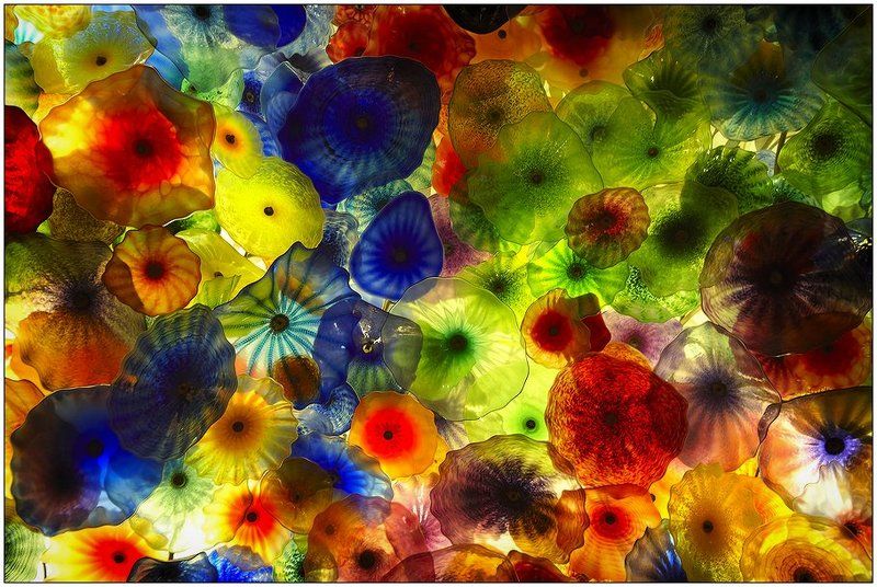 Лужайка фото превью