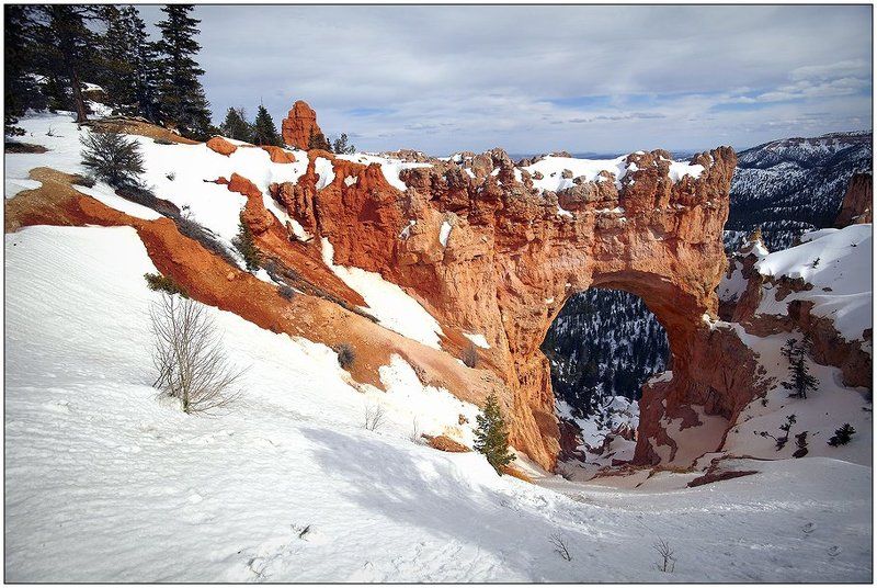 Брайс фото превью