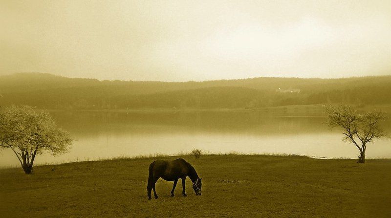 ***** фото превью