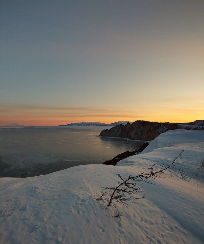 ...про лиственницу, зимующую под снегом фото превью