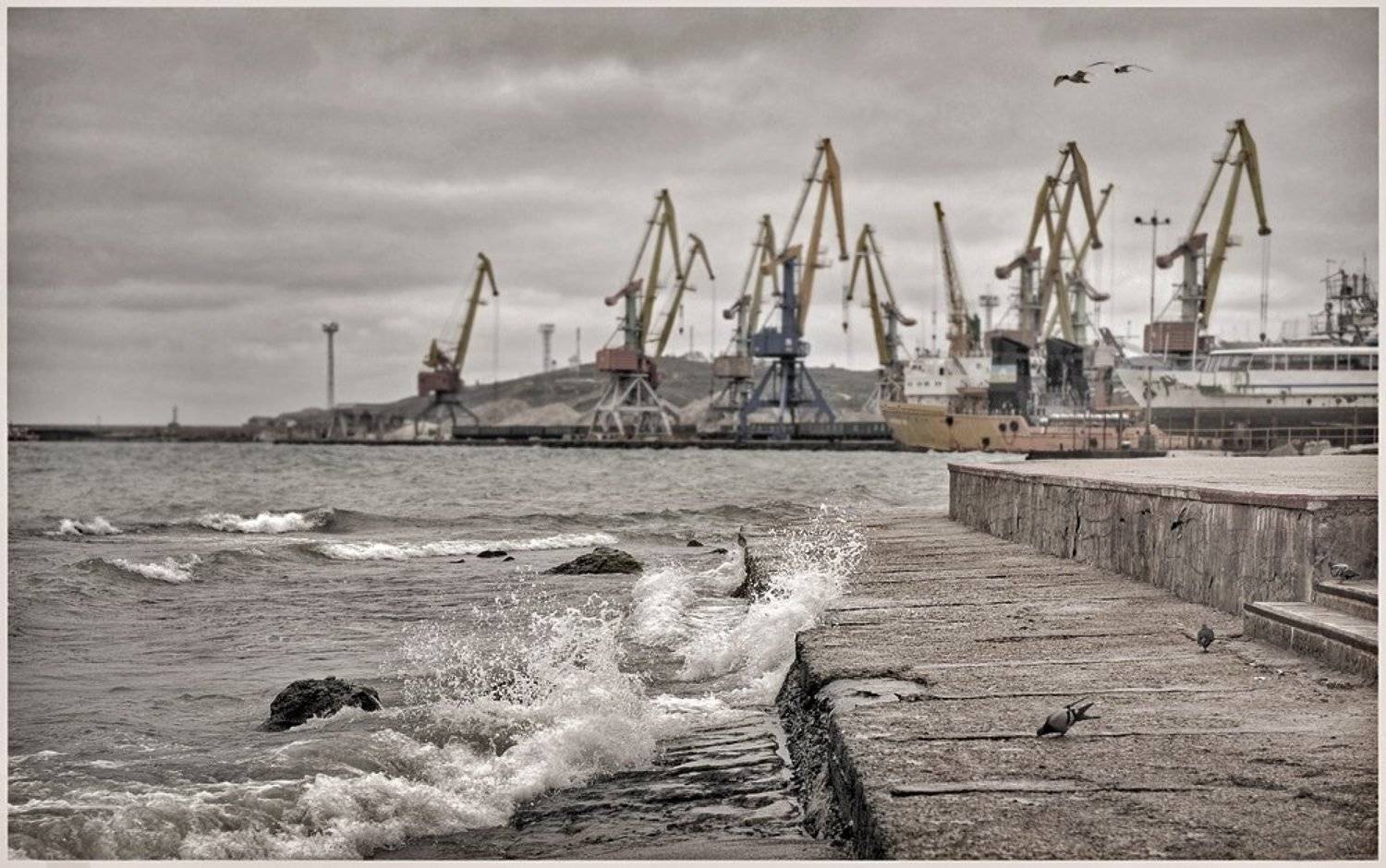 , Борис Пирог