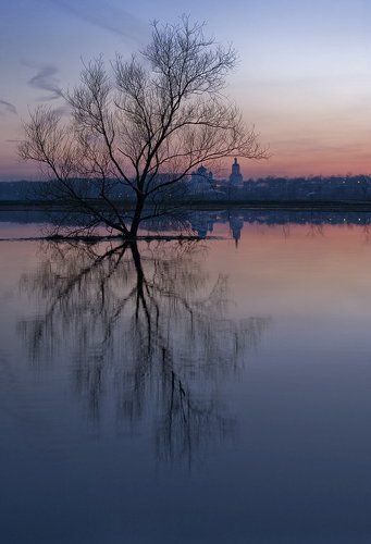 Хрупкое безмолвие...