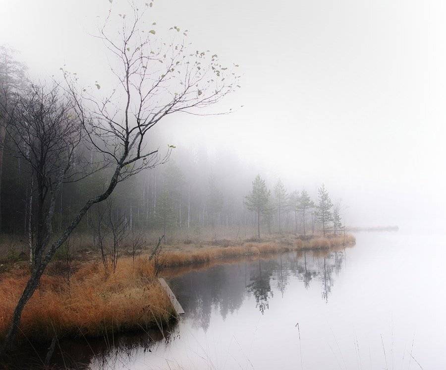 , Дмитрий Середов