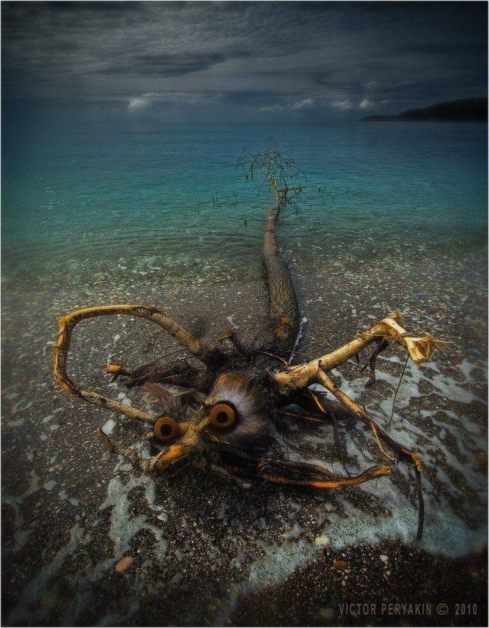 , Виктор Перякин