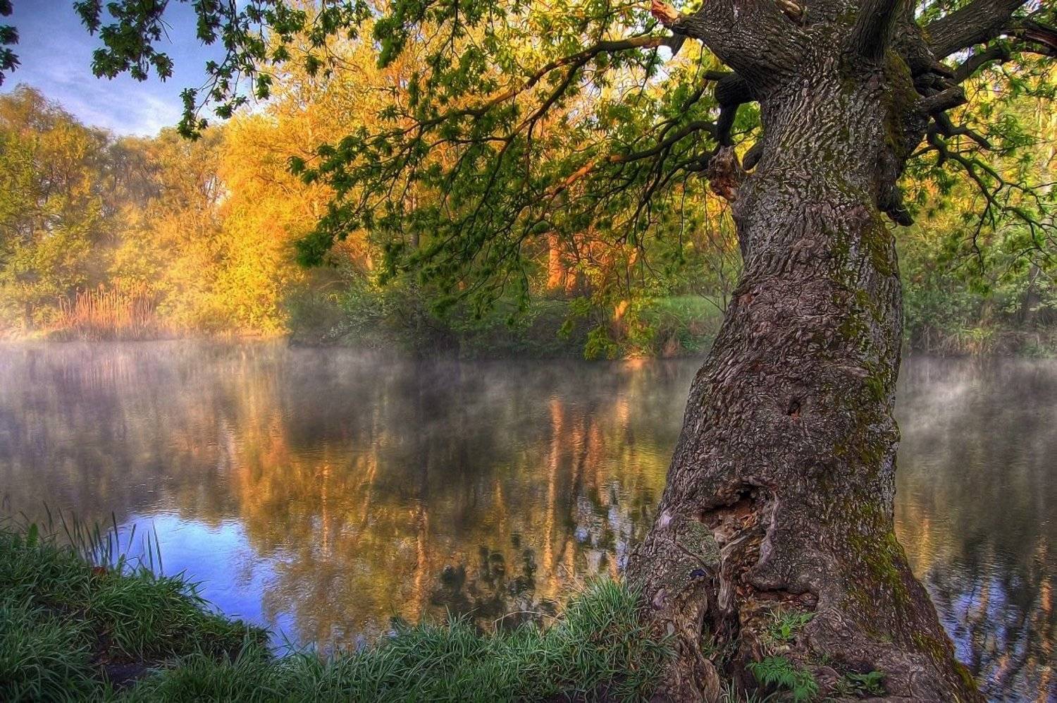 пейзаж, Tina Grach