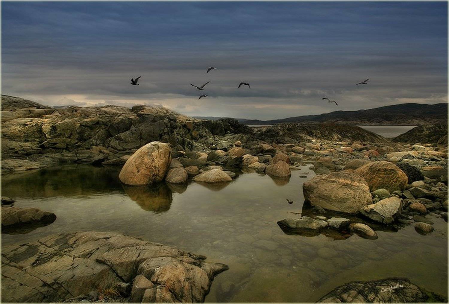 баренцево море, малая немецкая бухта, камни, Lampadina (Svetlana Maximova)