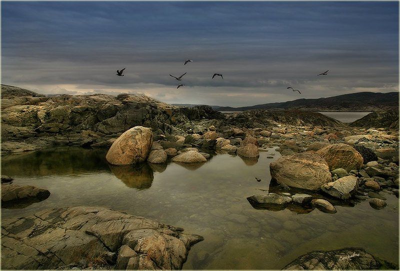 баренцево море, малая немецкая бухта, камни Семь фото превью