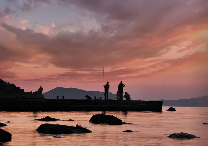 , Владимир Точаненко