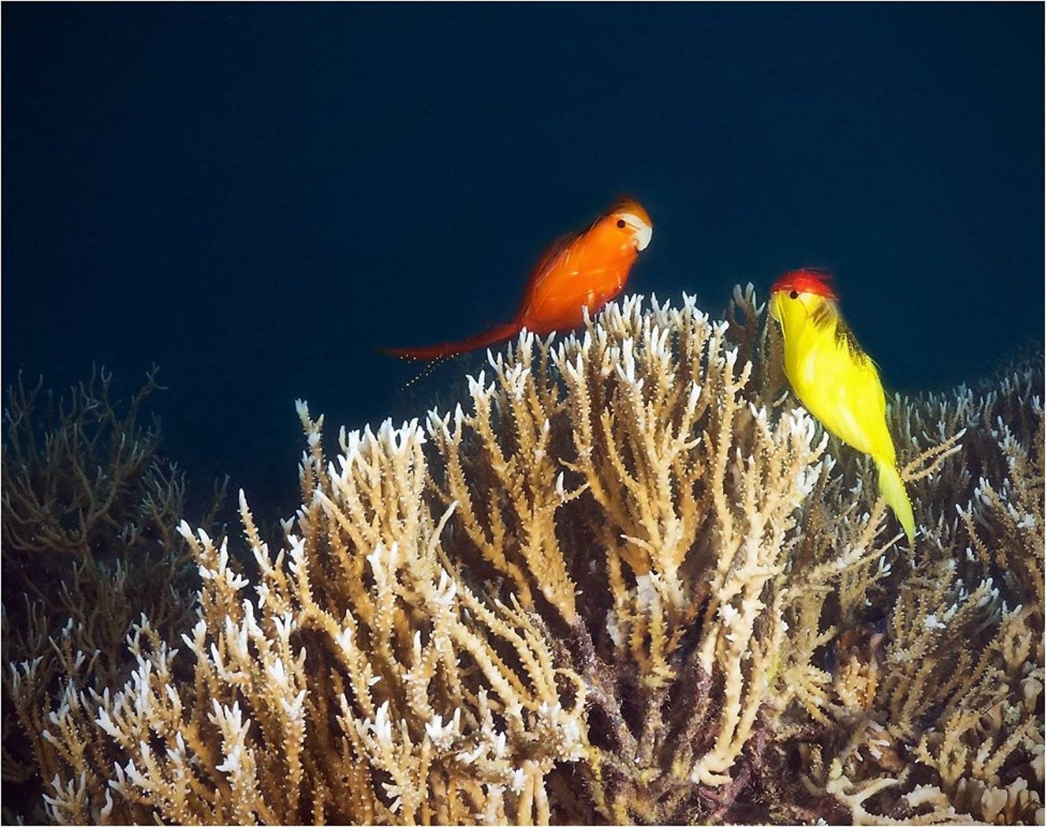 , Сергей Шанин