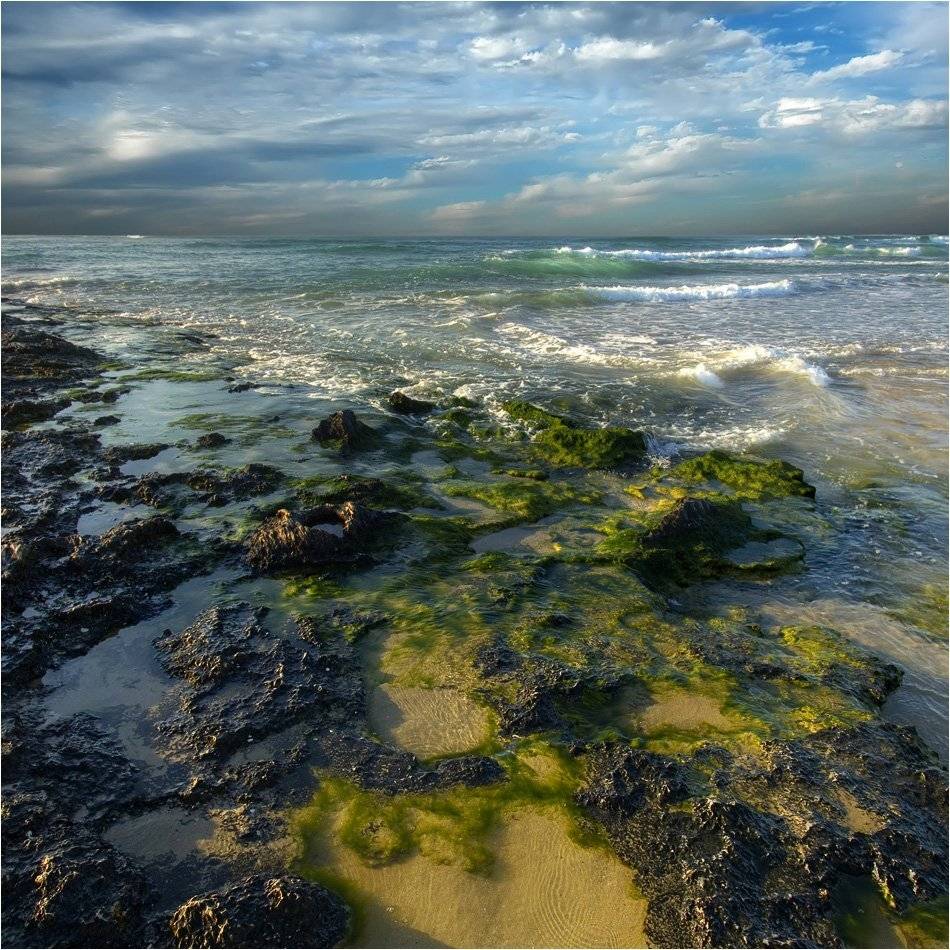 , Александр Беляев