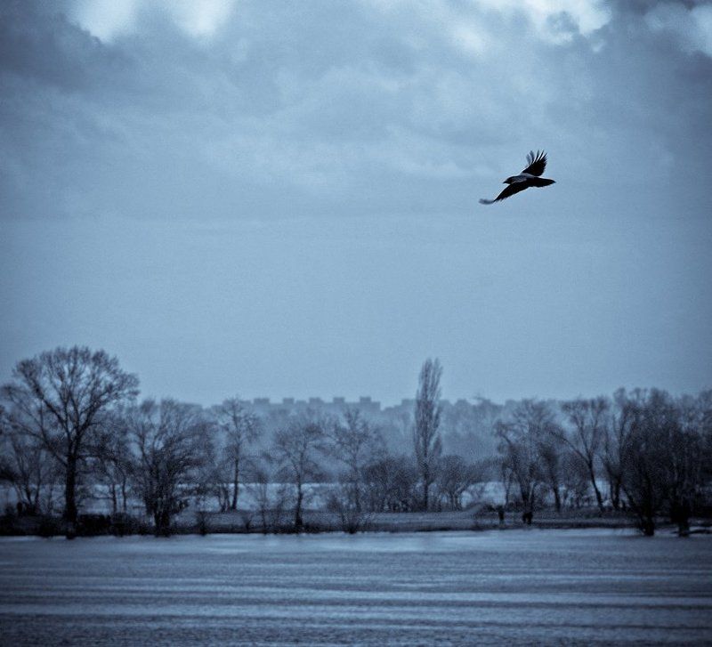 сторож снов, ворон, разлив Над разливом фото превью
