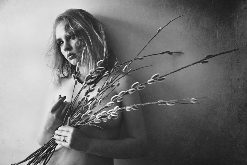 девушка, верба, свет hide u фото превью