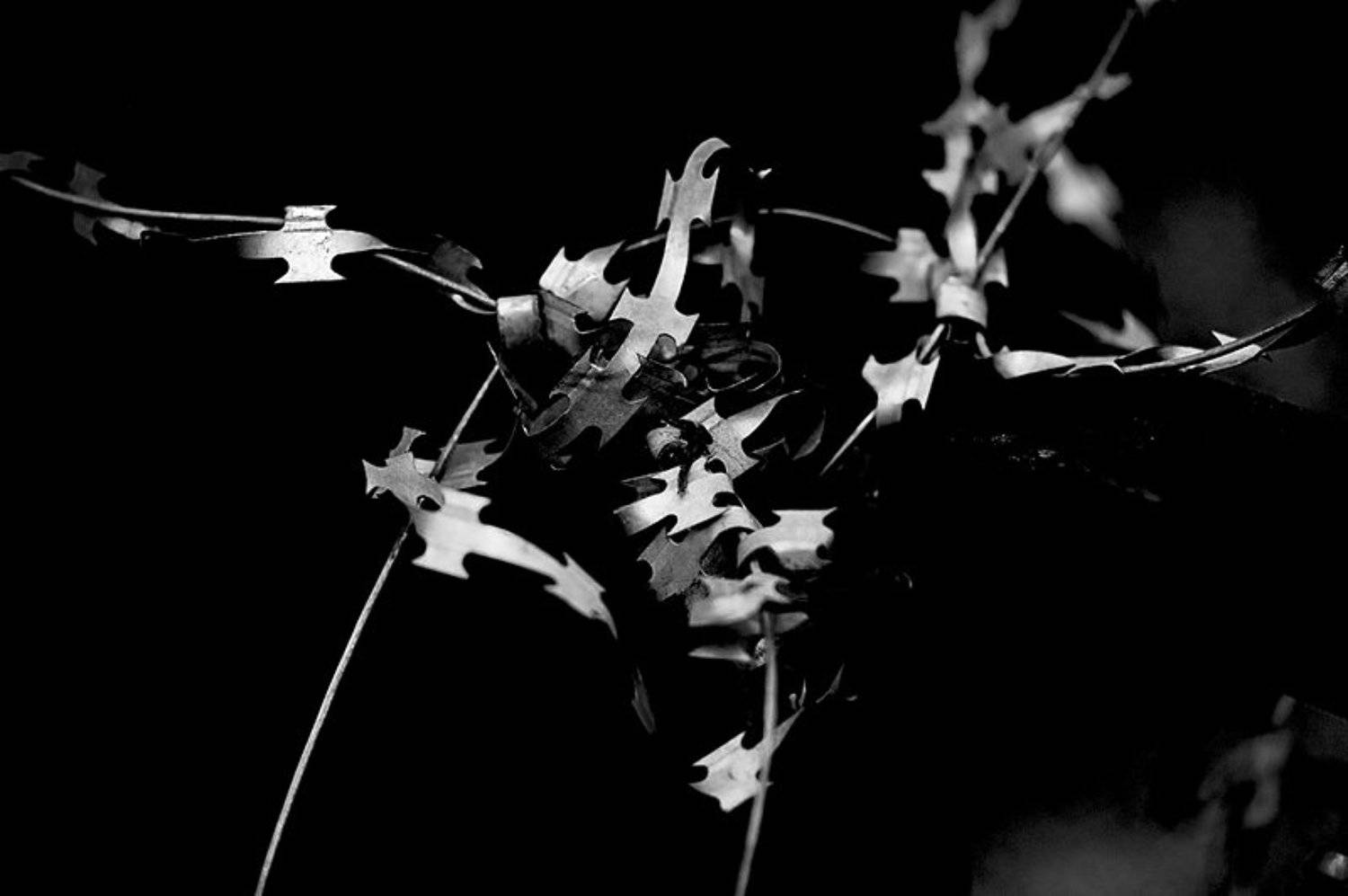 колючка, Александр Путев