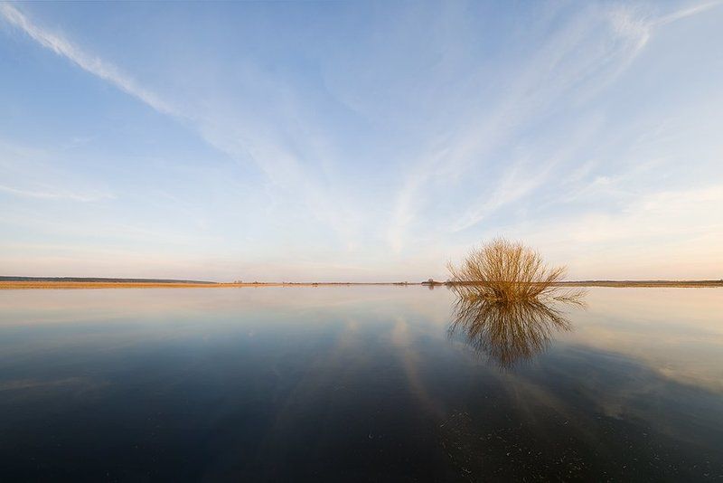 весна, разлив, дерево, панорама, облака, отражения Серия \