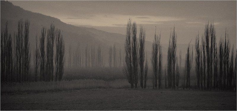 топля,вечер тихий вечер.... фото превью