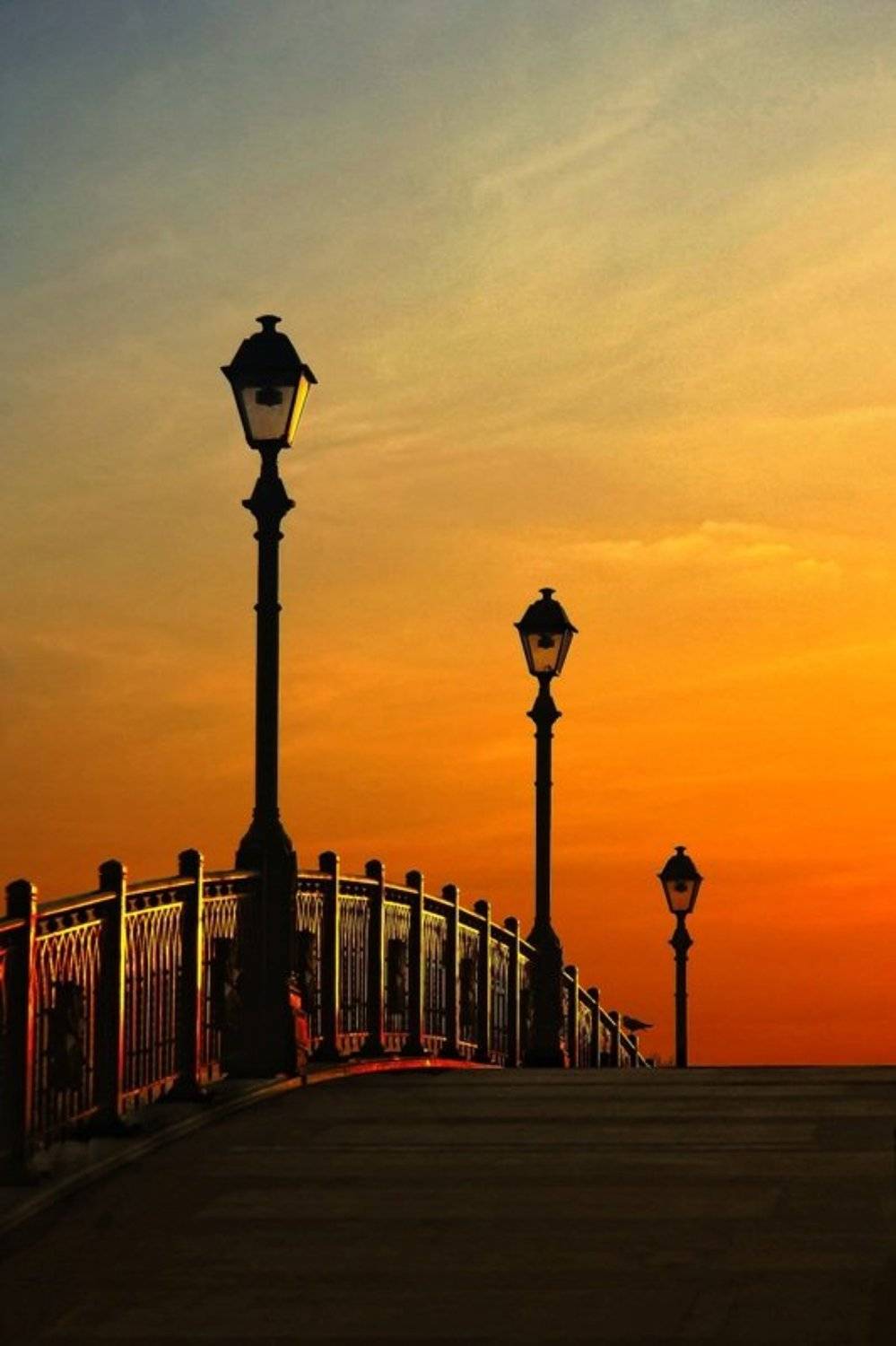 , Максим Курышов