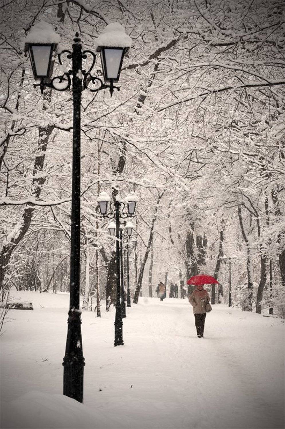 , Дмитрий Корнилов