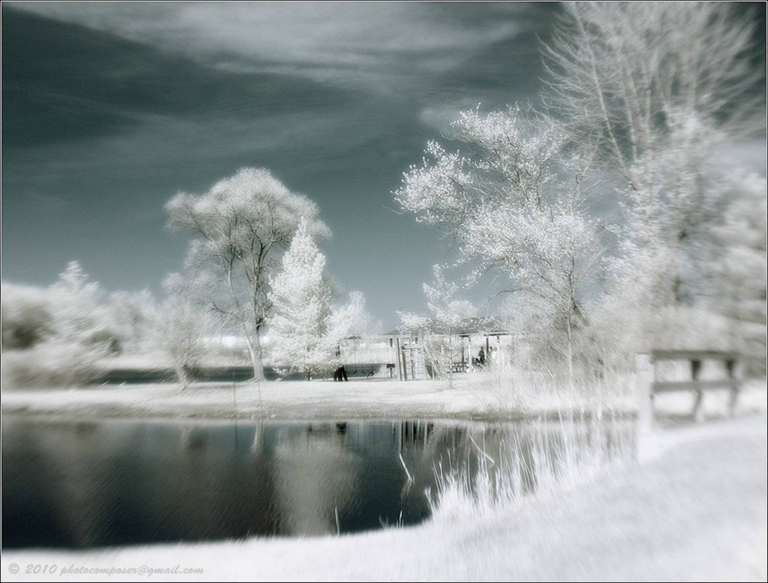 pilgrim, инфракрасный, infrared, Pilgrim
