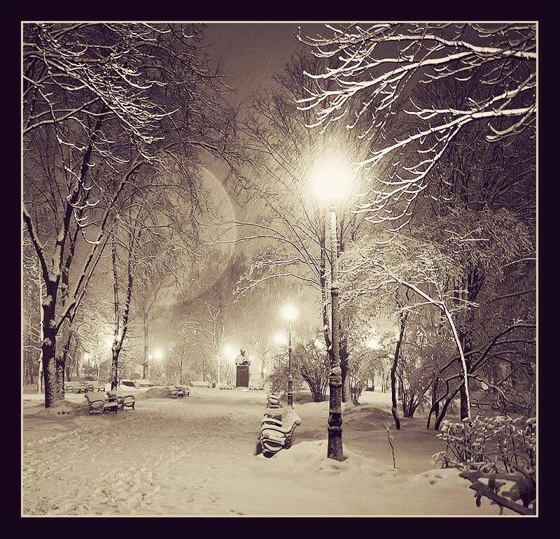 , Владимир Точаненко