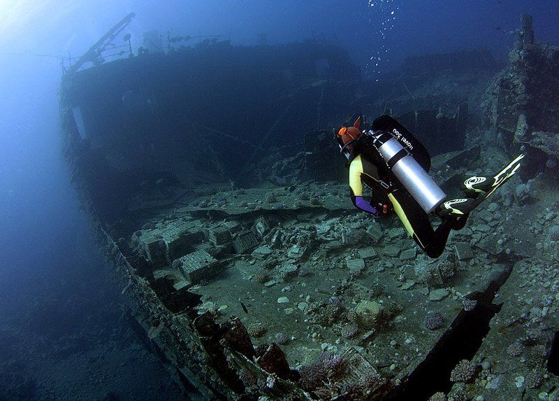 рэк, красное море РЭК фото превью