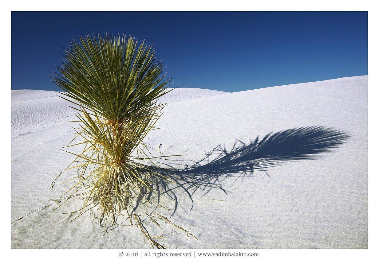 white sands national monument, new mexico, usa, Vadim Balakin