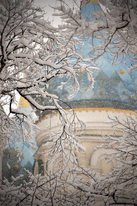 владивосток, покровский, парк, снег, апрель *** фото превью