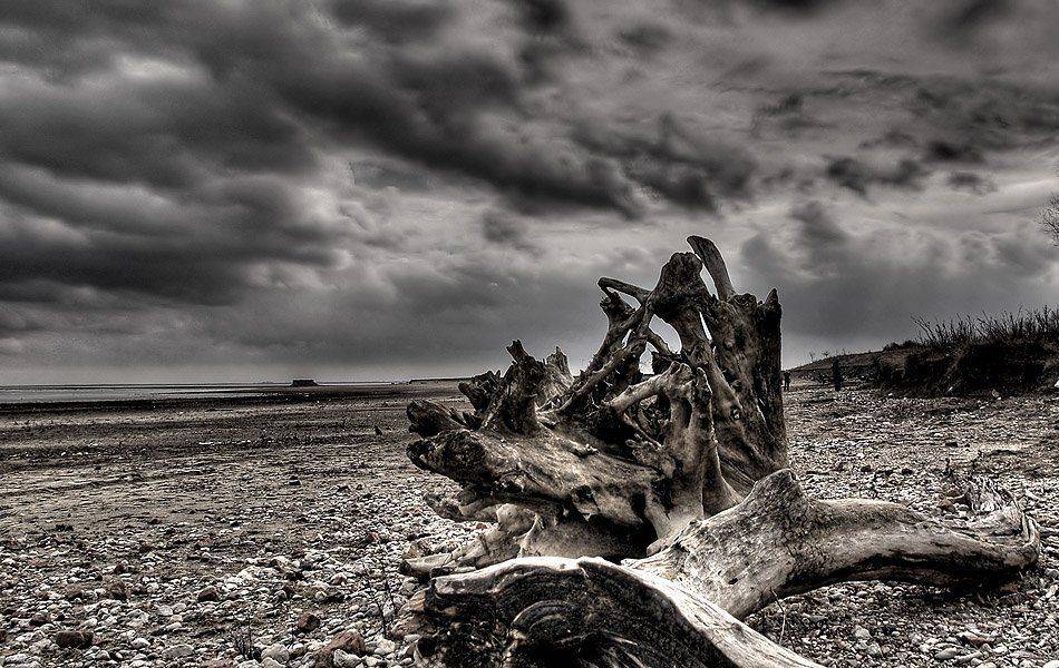 , Михаил Ступин