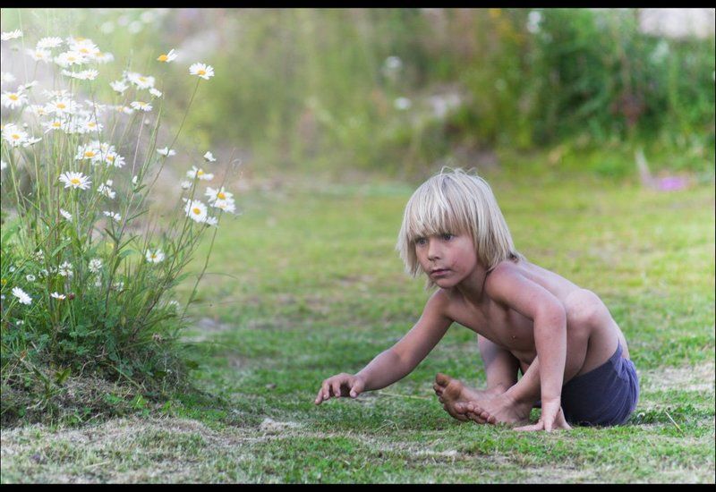 М а у г л и . . . фото превью