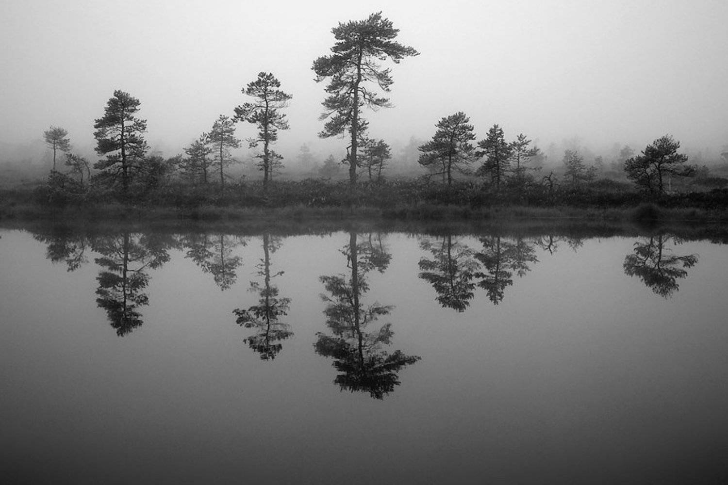 , Игорь Вишняков