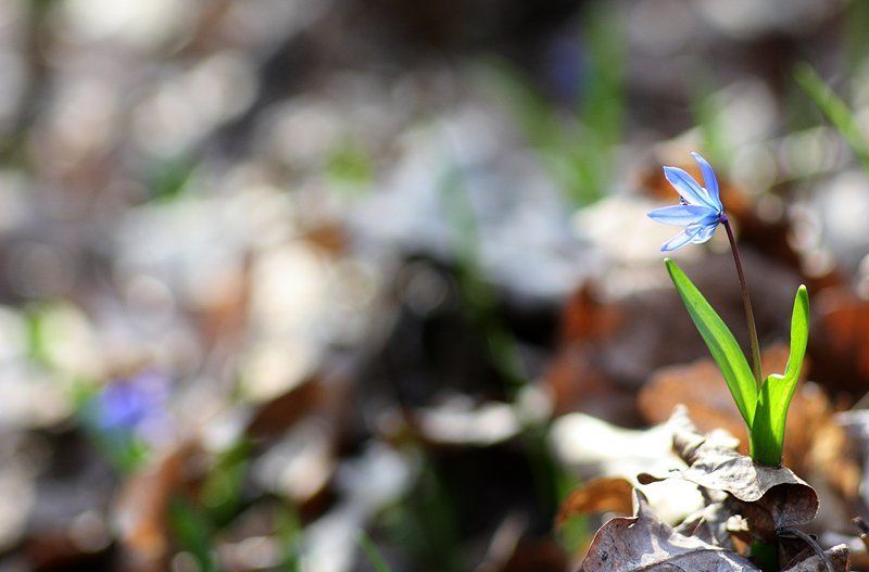 Грустит) фото превью
