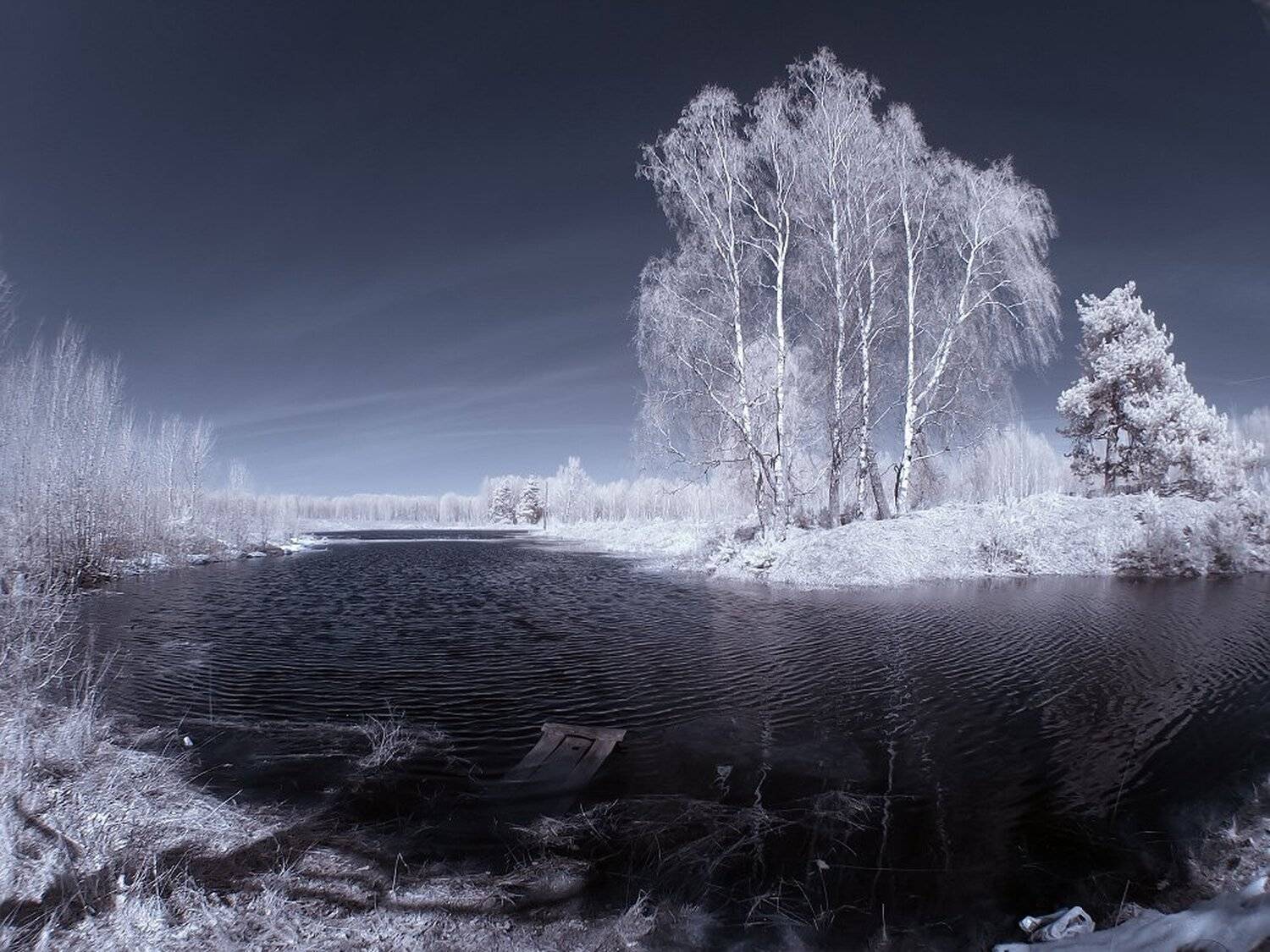 , Максим Евдокимов