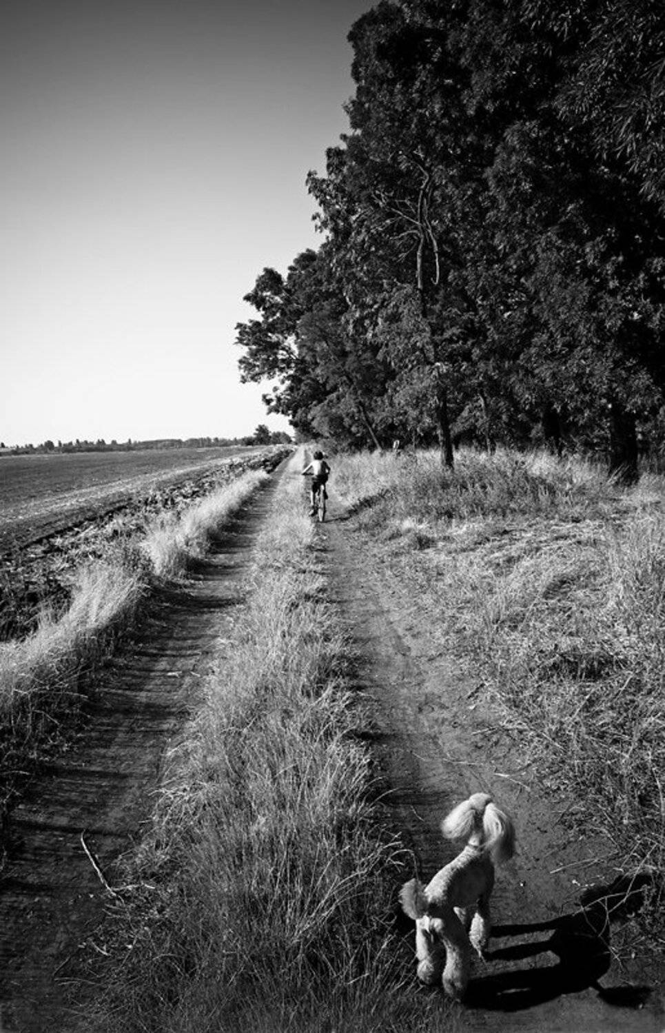 , Сергей Расулов