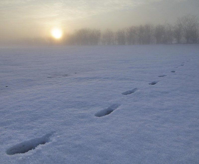 следы,уходящий,вечер уходящие..... фото превью