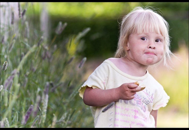 Макачи... фото превью