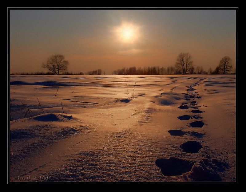 множество фото превью