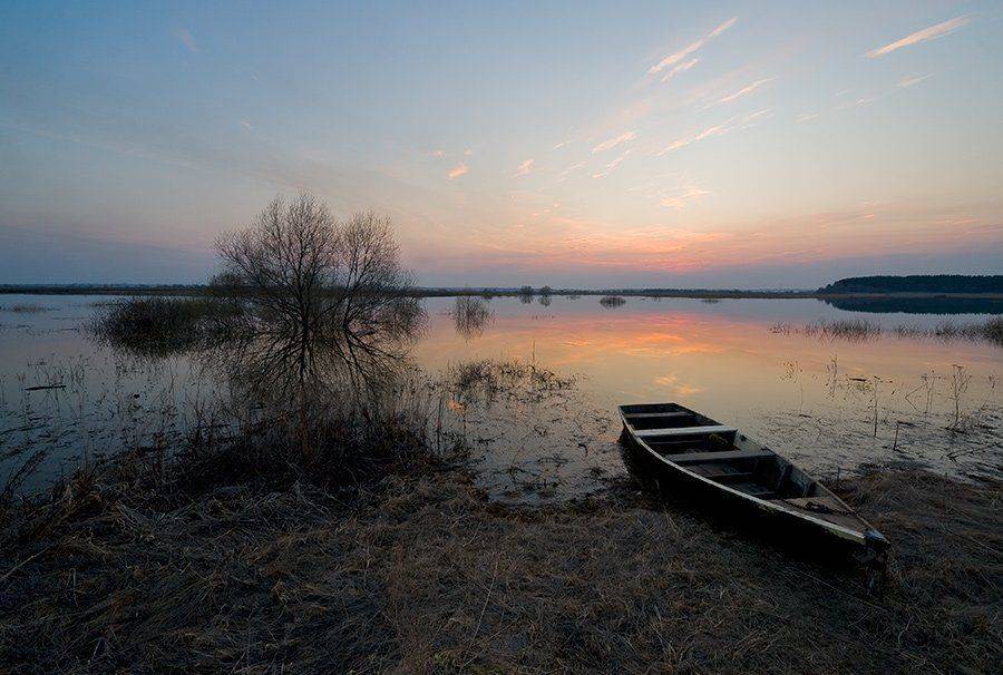 , Андрей Алексеев