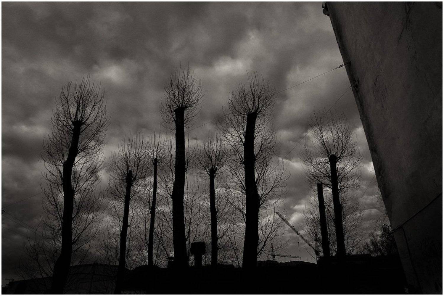 титаник, экономический, кризис, шизоидное, депрессивное, isazonov