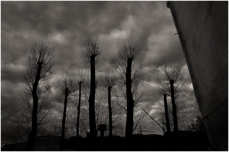 титаник, экономический, кризис, шизоидное, депрессивное На дне... фото превью