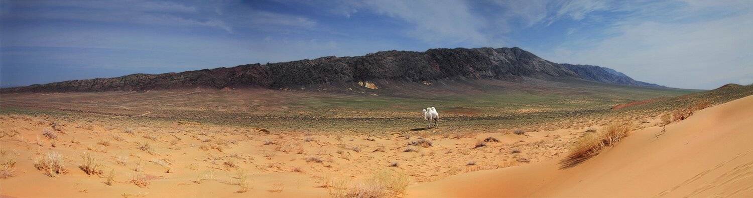 бархан, верблюд, горы, Silfida