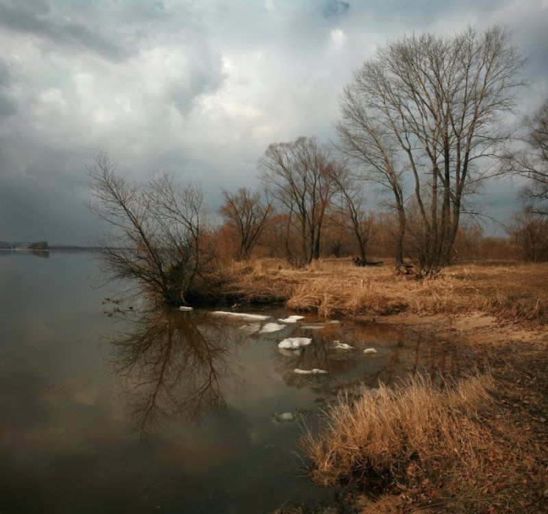* * * фото превью