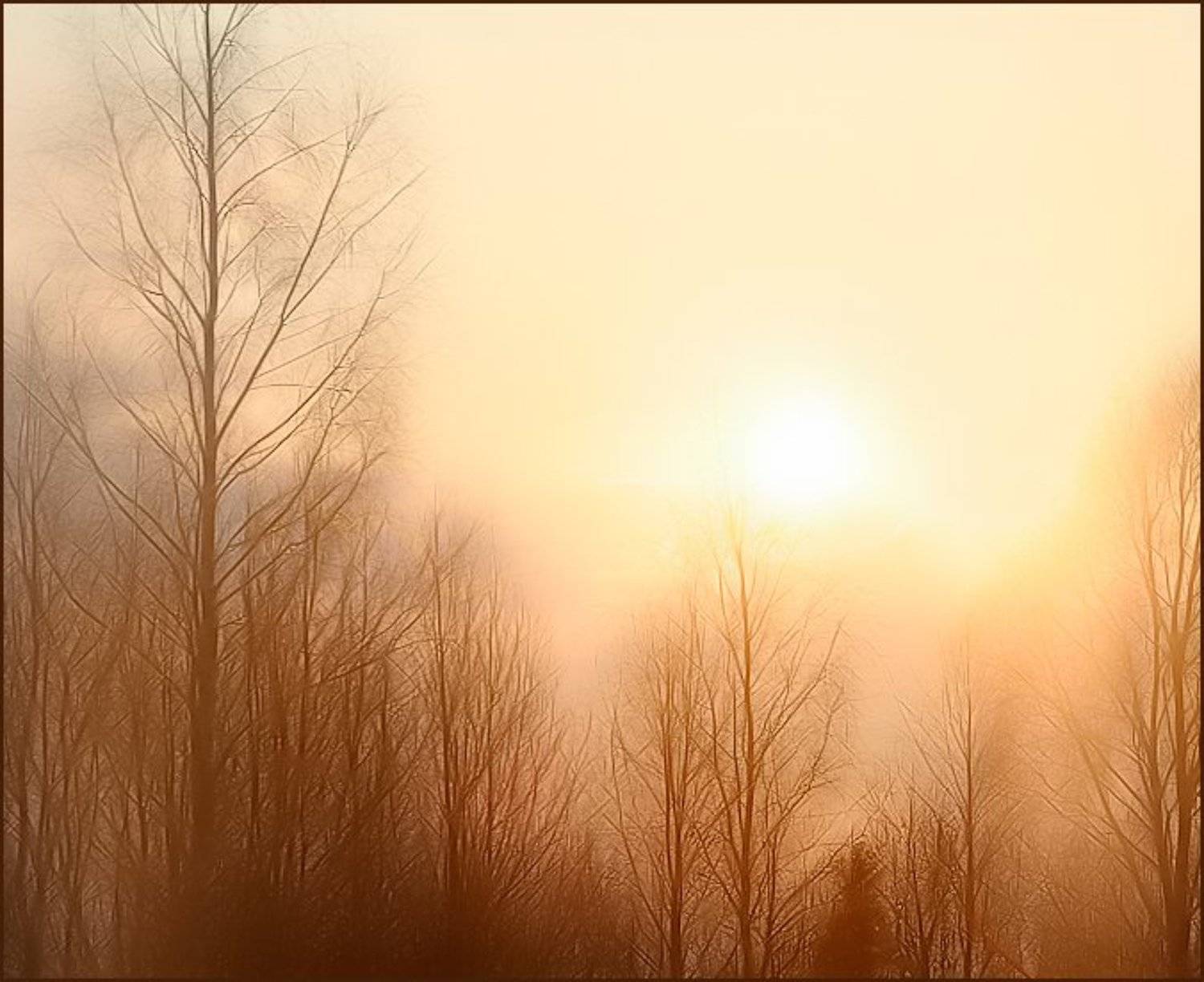 весна, KIRILL KULIKOV(KARAKULEV)