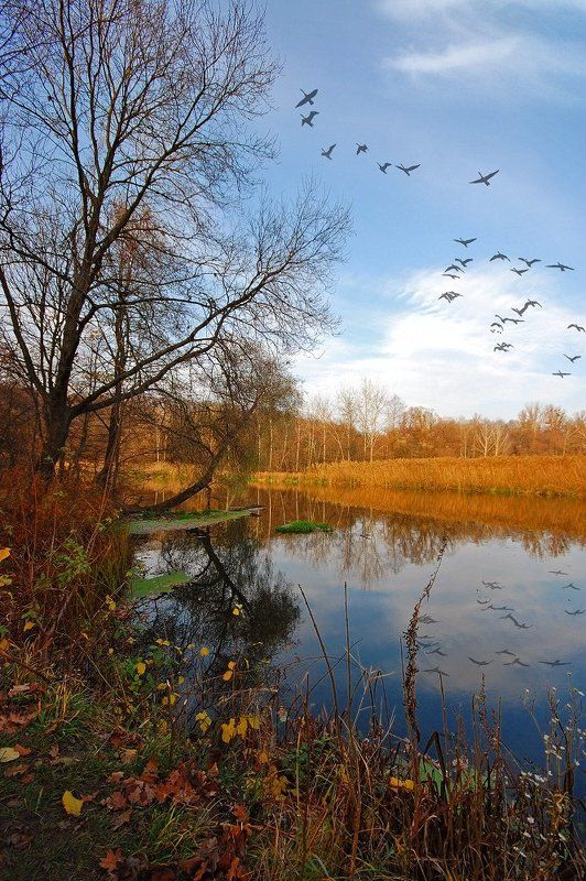 осень Тишь сентября золотая фото превью