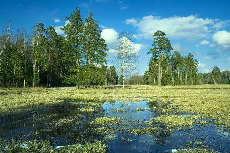 Просто апрель фото превью