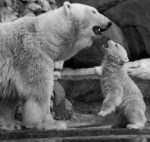 Мам, а может мы цирковые?