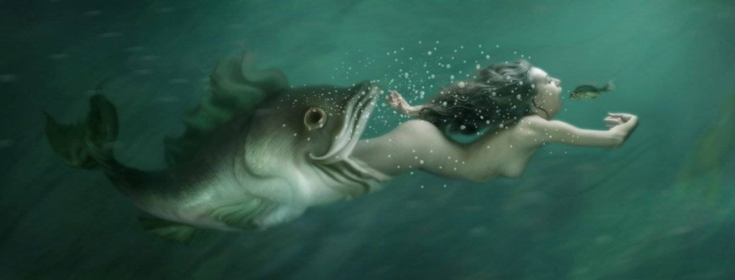 , Владимир Федотко