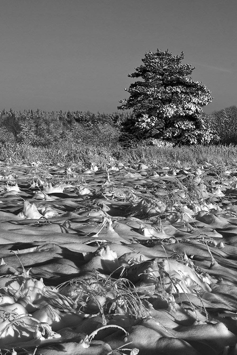 , Игорь Вишняков